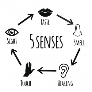 Mind Your Senses
